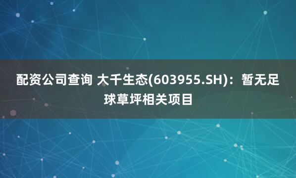 配资公司查询 大千生态(603955.SH)：暂无足球草坪相关项目