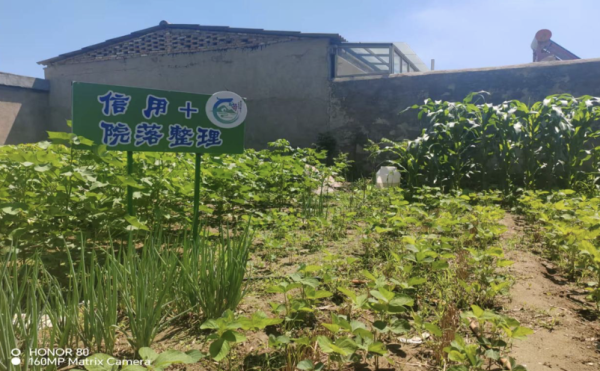 炒股10倍杠杆软件 以“信”为笔, 长沟镇绘就乡村振兴新图景
